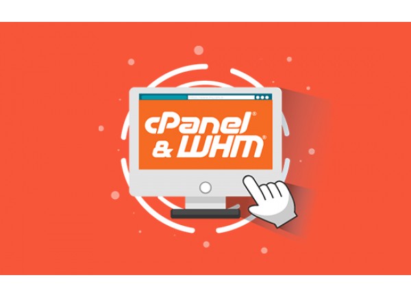 cPanel 5 Account cPanel 5 Account